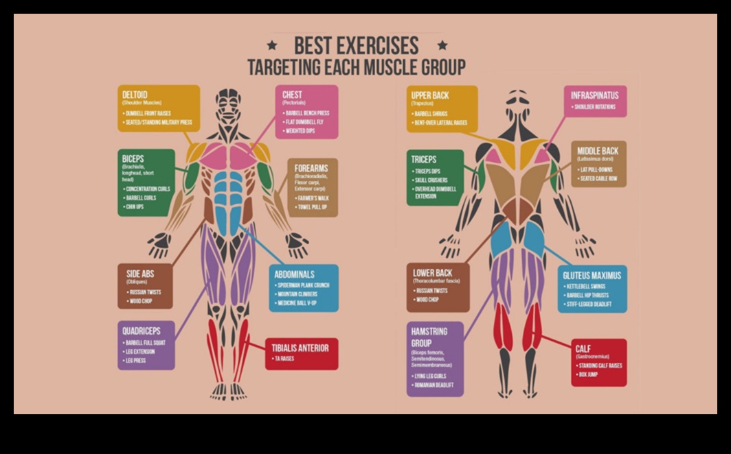 Precision Prep: exerciții de încălzire direcționate pentru anumite grupuri de mușchi