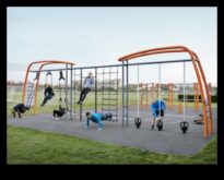 Concrete Jungle Gym Peste 30 de exerciții în aer liber pentru o viață aglomerată de oraș