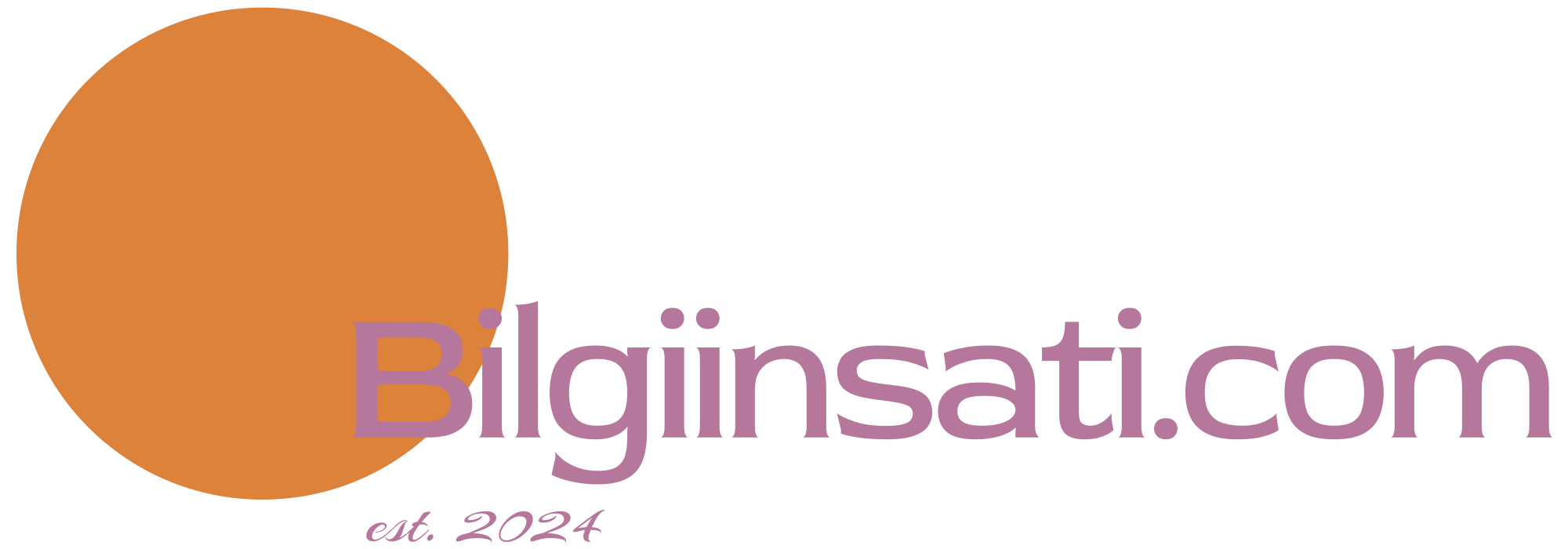 Bilgiinsati.com