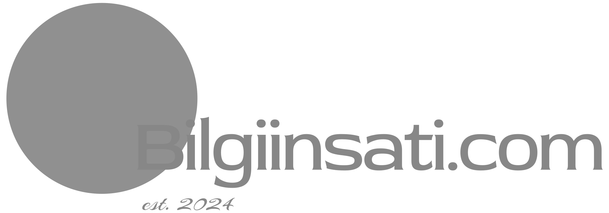 Bilgiinsati.com